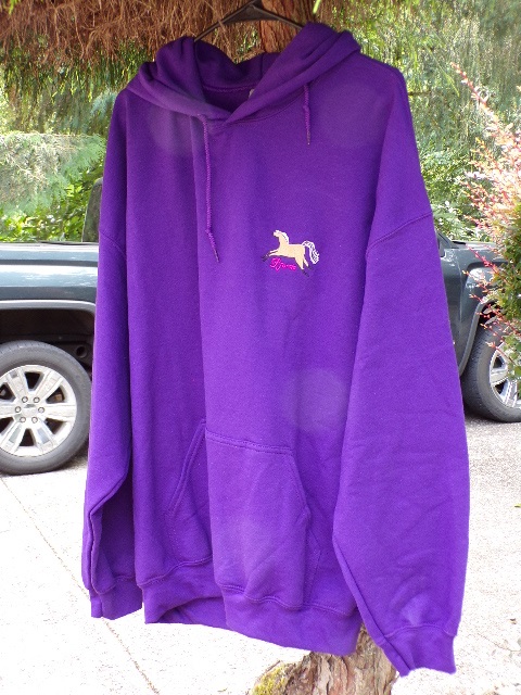 Purple Hoodie 3XL